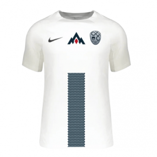 Camiseta Eslovenia Eurocopa 2024 1ª equipación