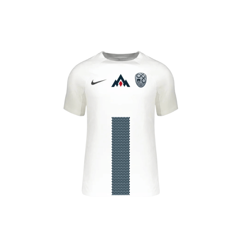 Camiseta Eslovenia Eurocopa 2024 1ª equipación