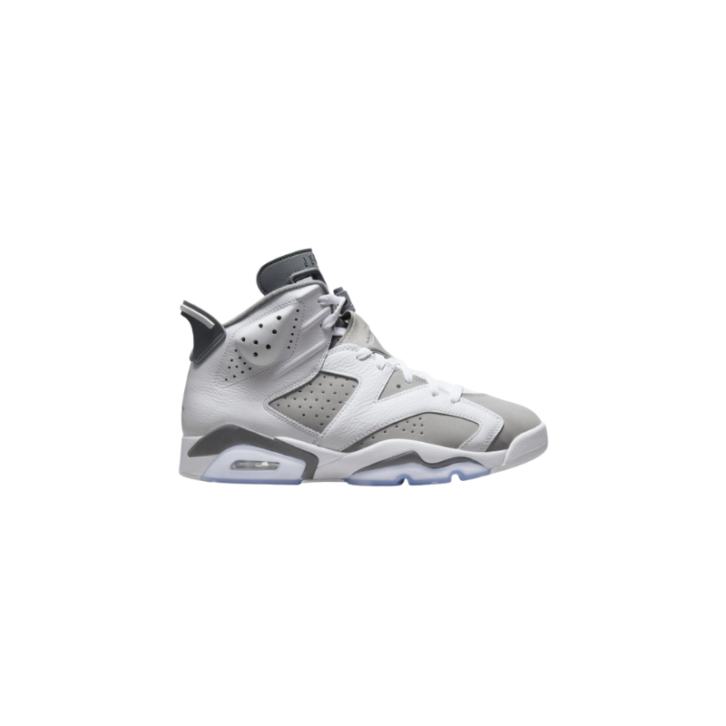 Air Jordan 6 Cool Grey