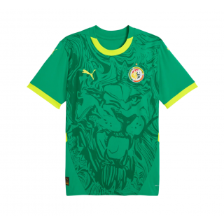 Camiseta Senegal 24/25 2ª equipación