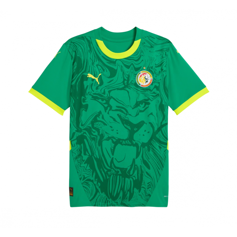 Camiseta Senegal 24/25 2ª equipación