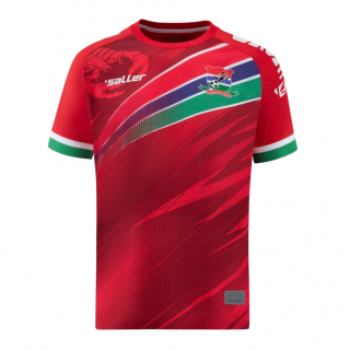 Camiseta Gambia 24/25 1ª equipación