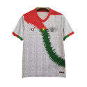 Camiseta Burkina Faso 24/25 2ª equipación