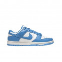 Nike Dunk Low Coast | Vulkano Shop