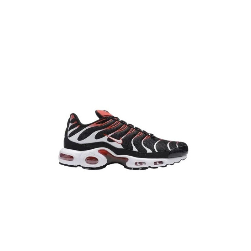 Nike Air Max Plus TN Negro y Blanco