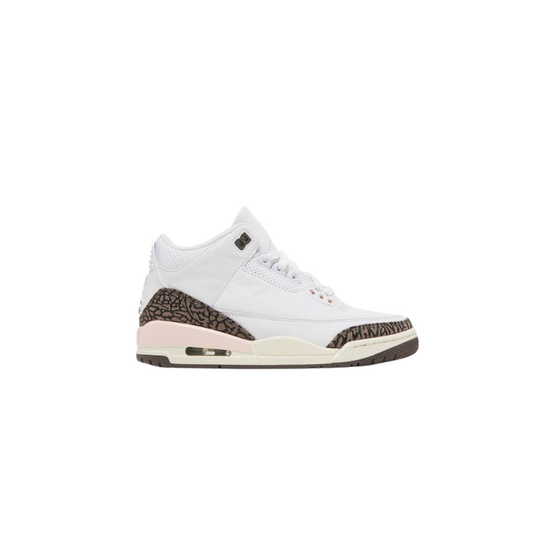 Jordan Retro 3 Neapolitan