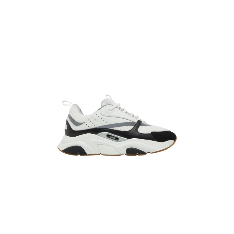 Dior B22| Vulkanoshop